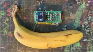 Die gelötete Elektronik mit OLED-Display neben einer Banane als Größenvergleich